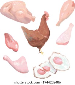 conjunto de carne de pollo. diseño de carne de pollo. estilo de dibujo de pollo