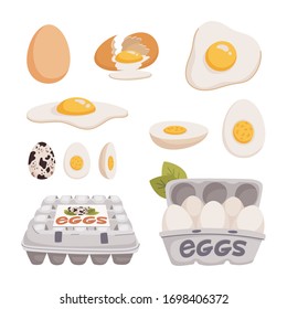 Set of chicken and quail eggs in different forms raw, boiled and fried and in carton boxes. Organic farm product, eco. Cooking ingredient. Flat style vector illustration