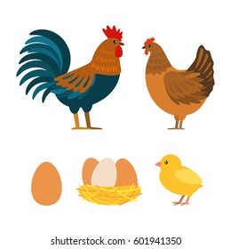 Set of chicken, rooster, eggs. Flat vector illustration isolated on white background