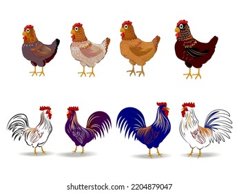 Set of chicken, rooster, hen, icon character poultry farm animal vector illustration.