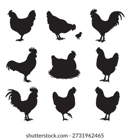 Set of Chicken and Rooster silhouette designs