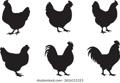 Set of Chicken and Rooster Silhouettes in Various Poses