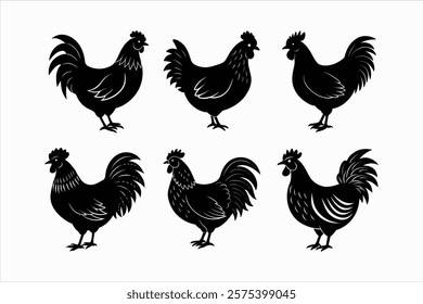 set of chicken vector illustration