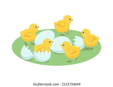 Set of chickens and eggs. Easter design.Cartoon chick. Vector illustration, isolated objects.