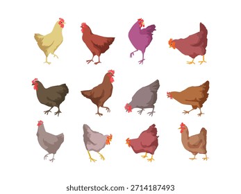 Conjunto de pollos, gallo, gallina, dibujo de la línea de Ilustración vectorial de arte. Carácter dibujado a mano de la granja de aves de corral aislado sobre fondo blanco.