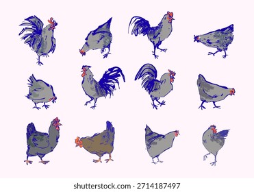 Conjunto de pollos, gallo, gallina, dibujo de la línea de Ilustración vectorial de arte. Carácter dibujado a mano de la granja de aves de corral aislado sobre fondo blanco.