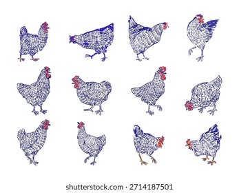 Conjunto de pollos, gallo, gallina, dibujo de la línea de Ilustración vectorial de arte. Carácter dibujado a mano de la granja de aves de corral aislado sobre fondo blanco.
