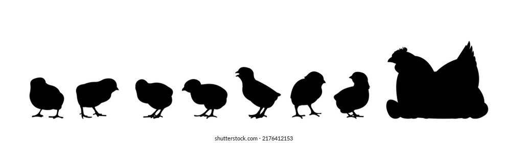 Set of Chickens. Scenery silhouette. Agricultural farm bird. Mother hen incubates eggs. Object isolated on white background. Vector.