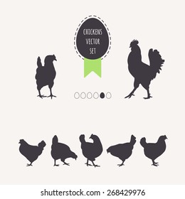 Set of chickens. Silhouettes of laying hens, rooster. Frame egg with green ribbon.