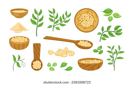 Set of Chickpea Beige Pile with Green Pod collection kit cartoon, chickpea wooden spoon and wooden bowl, chickpeas powder, leaves, seeds, green branch or stem plant, isolated on white background.