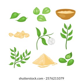 Set of chickpeas collection, Annual Legume Plant with Green Stems and Proteinic Beige Peas Poured in Bowl with seeds, powder , flower and sliced chickpeas, flat vector illustration.