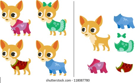 Set of chihuahua puppies and clothes