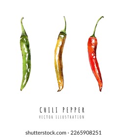 Set of chili pepper hand drawn watercolor painting isolated on white background