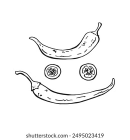Juego de pimienta. Ilustración vectorial dibujada a mano en estilo de contorno.