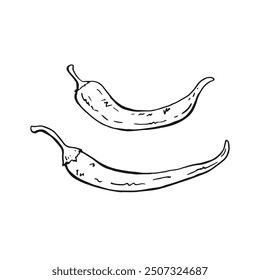 Set of chili pepper. Hand drawn vector illustration.