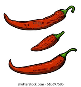 Set of Chili pepper illustration isolated on white background. Design element for poster, menu.