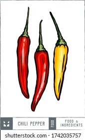 Set of chili pepper Vector illustration - Hand drawn