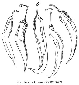 Set of chili peppers, hand-drawn design elements. 