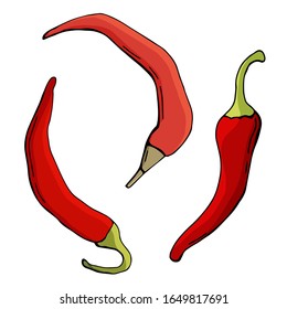 Set of chili peppers. Vector cartoon illustration. White background, isolation. Stock illustration.