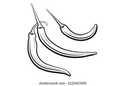 a set of Chili vector illustration