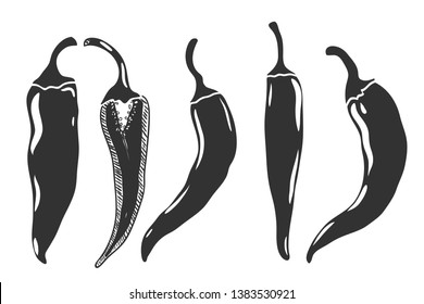 Set of Chilli pepper isolated on white. Vector illustration.