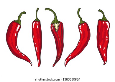 Set of Chilli pepper isolated on white. Vector illustration.