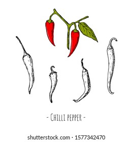 Set of chilli peppers. Vector cartoon illustrations. Hand-drawn style. Isolated objects on a white background.
