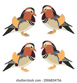 Set of the china mandarin duck an outline for colouring with cartoon eyes