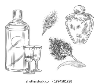 Set of China vodka. Traditional Chinese alcohol Maotai. Collection of bottel, glass, wheat, sorghum,ceramic vase for fermented. Elements for restaurant menu design.Engraving style. Vector illustration