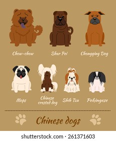 Set of Chinese dogs. Vector Illustration of seven different breeds of dogs: Chow-Chow, Shar Pei, Chonqing Dog, Mops, Chinese Crested Dog, Shih Tzu, Pekingese