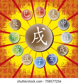 Set of chinese feng shui hieroglyphs. Translation of 12 zodiac animals, feng shui signs hieroglyph- Rat, Ox, Tiger, Rabbit, Dragon, Snake, Horse, Goat, Monkey, Rooster, Dog, Pig