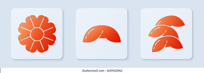 Set Chinese fortune cookie, Flower and Chinese fortune cookie. White square button. Vector