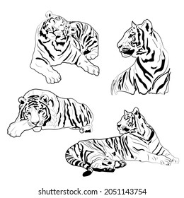 Set of Chinese tiger outline illustrations. Vector work. For use in the design of cards, invitations, covers and brochures, prints and prints on fabric, posters and packaging.