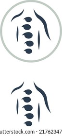 a set of chiropractic icons
