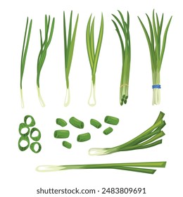 Set of chives set collection with slices green onion, verdure bunch. Chopped green chives, Green spring onion chopped chives, fresh cut green onion plant Healthy vegetarian food and spice. 