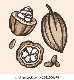 Un conjunto de granos de cacao de chocolate sobre un fondo beige. Ilustración vectorial.