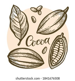 Set of chocolate cocoa beans. Vector illustration.