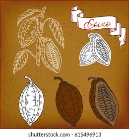 Set for chocolate, cocoa fruit for packaging design, Cocoa bean and leaf. Hand painted. Vintage vector engraving illustration. 