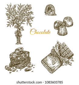 Set of chocolate. Cocoa tree, bonbons, stack and packing chocolate. Engraving style. Vector illustration.