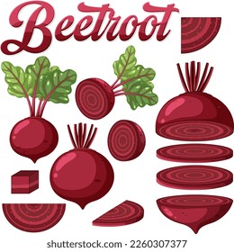 Set of chopped and sliced beetroot illustration