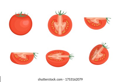 Set of chopped tomatoes isolated on white background. Tomato slices illustration.