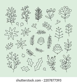 Set of christmas botanical doodles. Vector collection of twigs, leaves, berries, pine cones, flowers.
