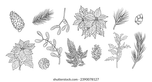 Set of Christmas botanical vector line art.