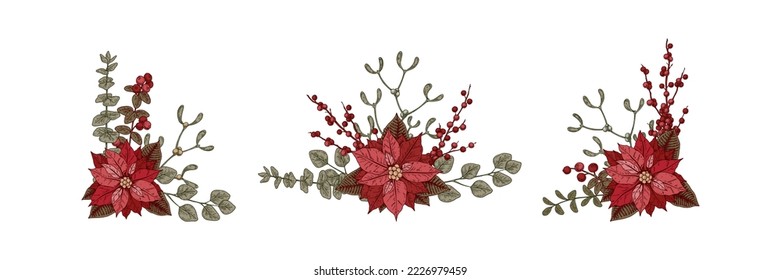 Set of Christmas botany compositions with poinsettia flower and mistletoe. Vector illustration in sketch style isolated on white background