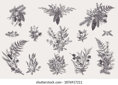 Set with Christmas bouquets and compositions. Winter botany. Vector illustration. Engraving. Black and white.