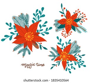 Set of Christmas bouquets of red poinsettia flowers, fir branch, emerald parvifolia, agonis, seeded eucalyptus. Happy xmas holiday greenery. . Flat isolated hand drawn illustration. Magic time.