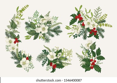Set Christmas bouquets  Vintage compositions and winter plants  berries   flowers  Vector botanical illustration  Colorful 