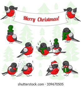 Set of christmas bullfinch  vector 