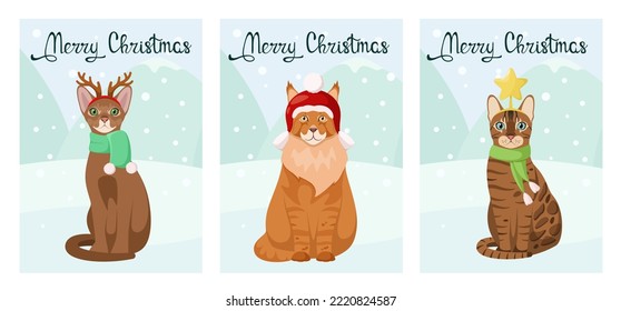 A set of Christmas cards with funny cats. Pets. Cartoon design.
