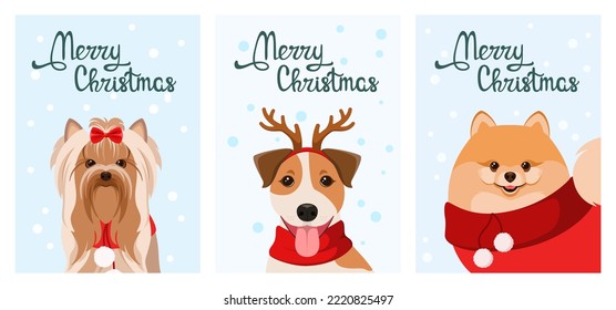 A set of Christmas cards with funny dogs. Pets. Cartoon design.
